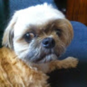 Meet your Posher, Darci